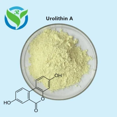 API医薬品中間体抗